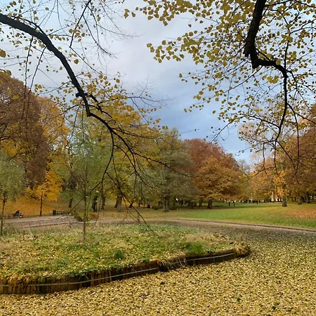 Oslo Lii